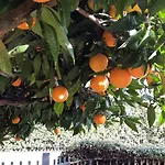 Πανσιόν Elisa Holidays Puegnago